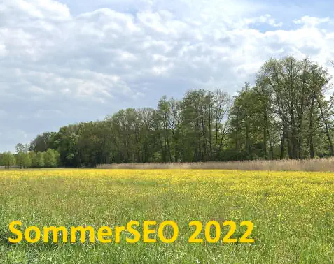 Sommerlicher SommerSeo 2022 Wettbewerb für Suchmaschinenoptimierung